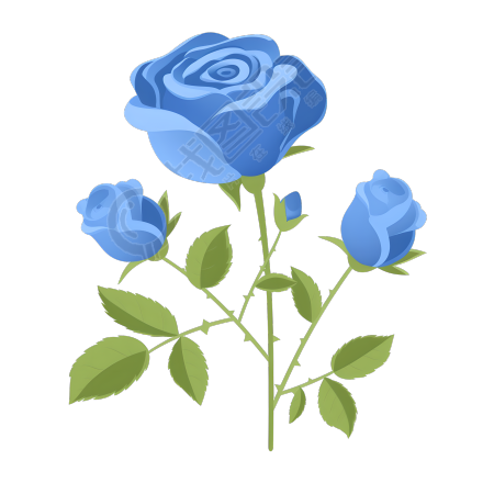 蓝玫瑰简约风格插画