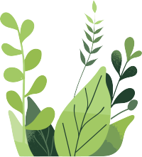 绿叶水彩植物高清素材