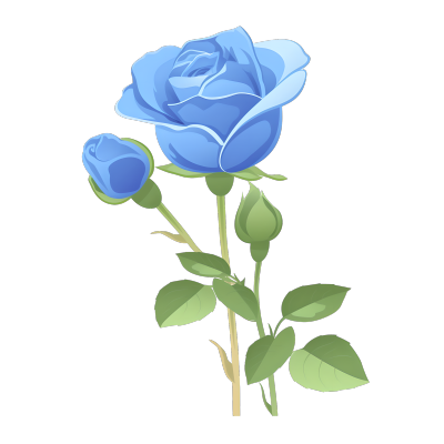 蓝玫瑰插画素材