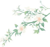 小白花水彩植物简约插图