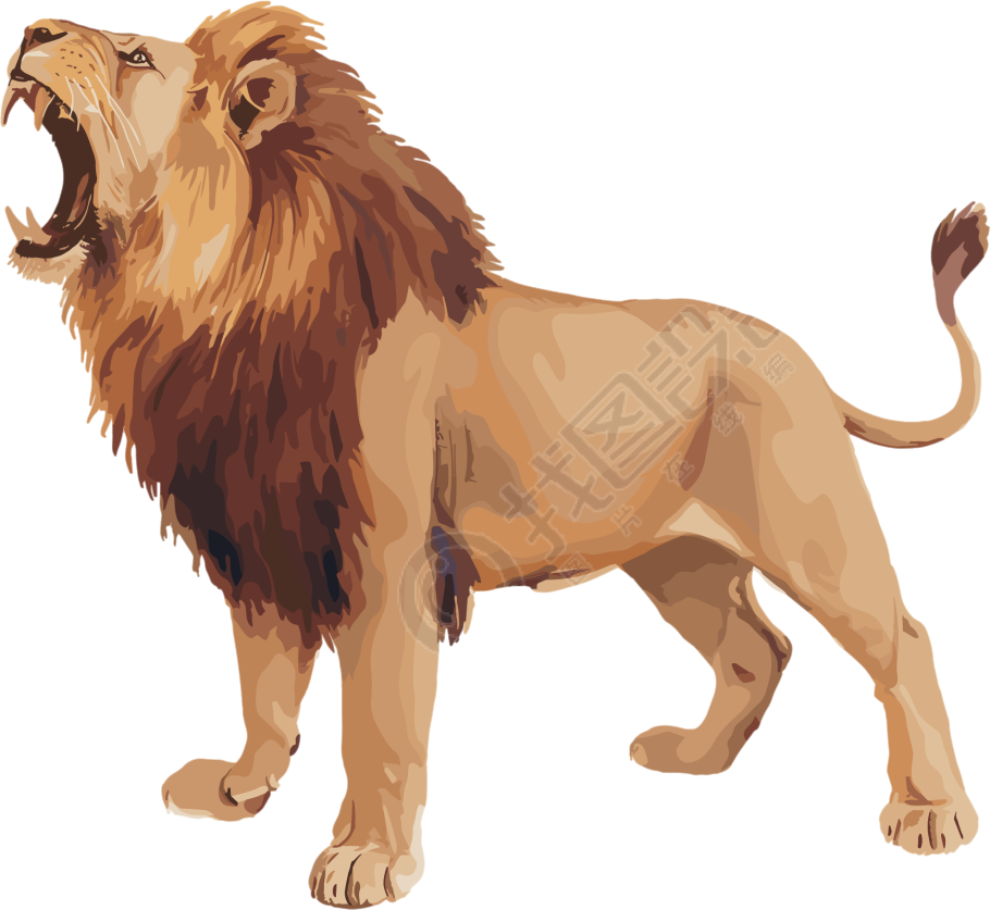 狮子珍稀动物插画