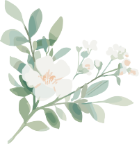 小白花水彩植物插画