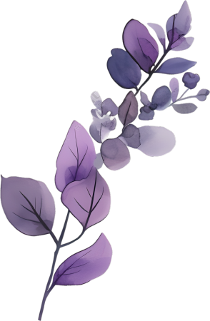 水彩植物唯美插图
