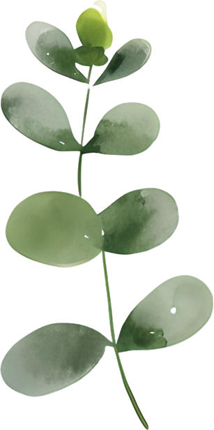 水彩植物图案元素