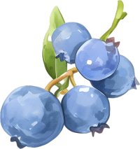 水彩蓝莓创意插画