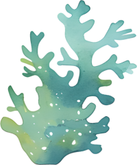 水彩珊瑚插图