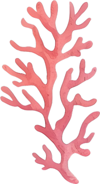 水彩珊瑚可商用素材