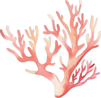 水彩珊瑚元素