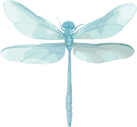 蓝色蜻蜓插图