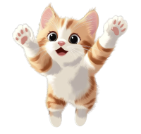 猫咪玩耍素材