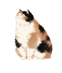猫水墨风格素材