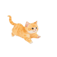猫水墨风格插图