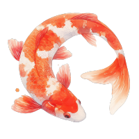 小鱼高清插图