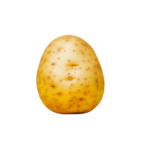 土豆高清插图