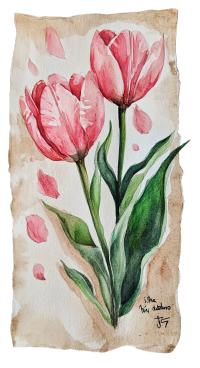 郁金香书签插画