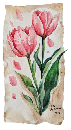 郁金香书签插画