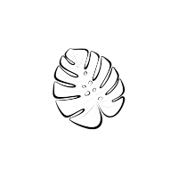 叶子轮廓简约插画