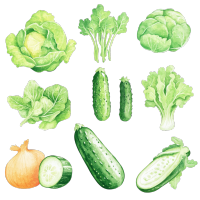 蔬菜透明背景插画