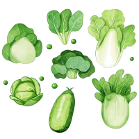 蔬菜透明背景插图