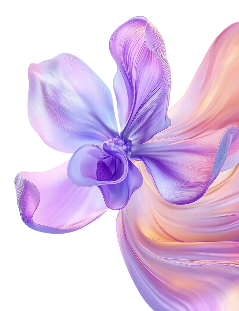 紫色兰花丝绸材质插图