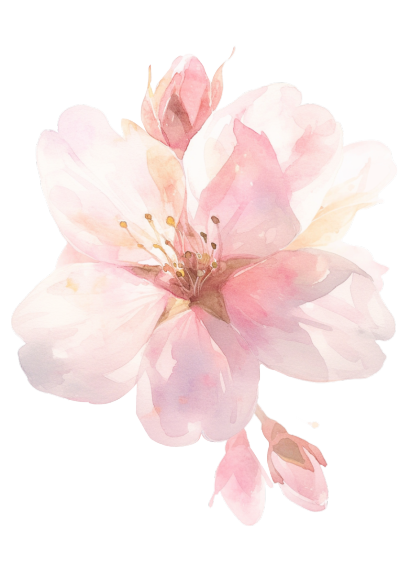 樱花花瓣粉色素材