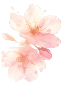 樱花花瓣粉色插画