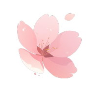 樱花花瓣透明背景插画