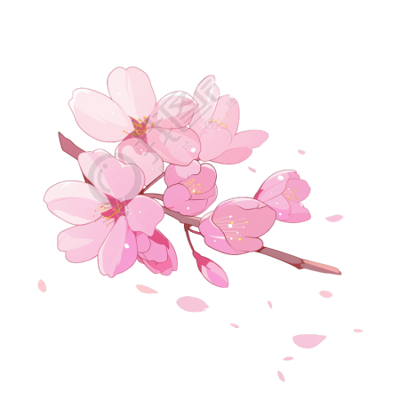 樱花花瓣飞舞插画