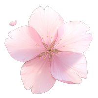 樱花花瓣透明背景元素