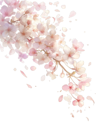 樱花花瓣飞舞PNG素材