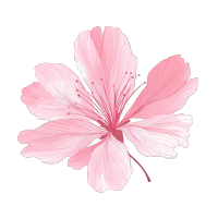樱花花瓣粉色元素