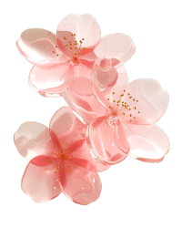 樱花花瓣粉色插图