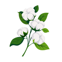 image (17)