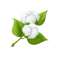 纯白棉花插画