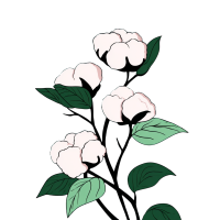 棉花插画设计