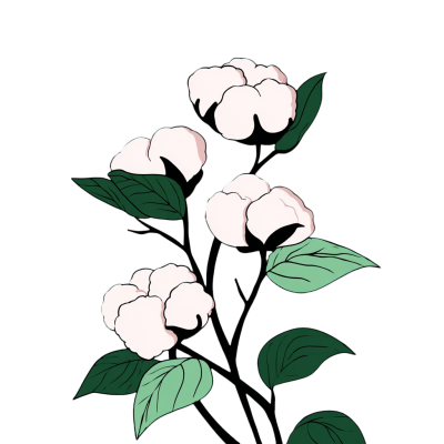 棉花简约元素