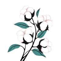 纯白棉花插画