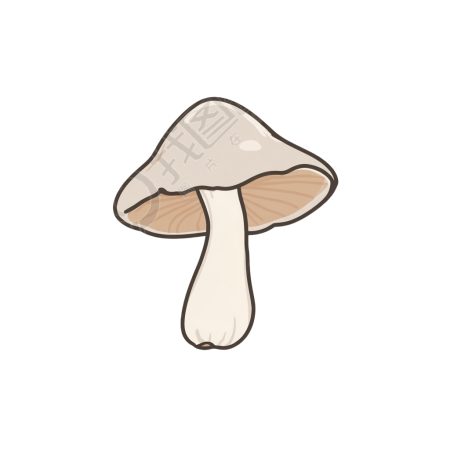 简笔画蘑菇插图