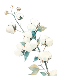 image (21)
