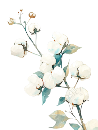 水彩棉花枝