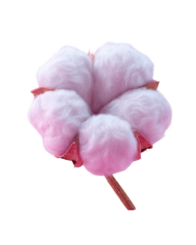 3D棉花唯美插图