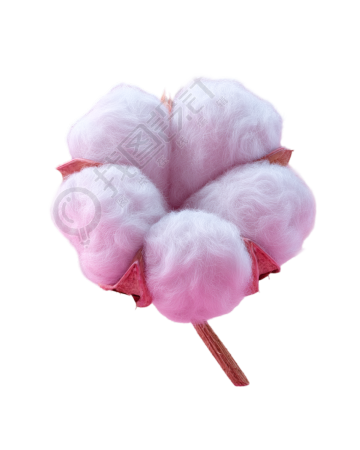 3D棉花唯美插图