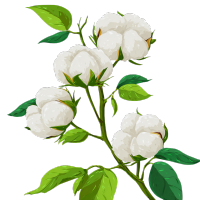 image (14)