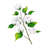 image (15)