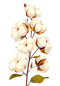 卡通棉花植物图