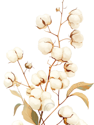 水彩棉花枝