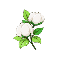 纯白棉花插画设计