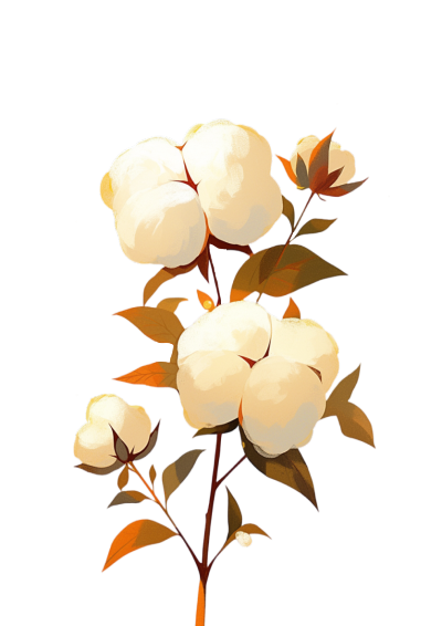 棉花创意设计素材