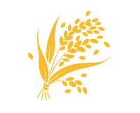 金黄色大米LOGO