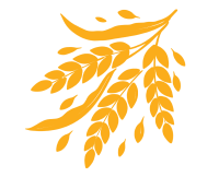金黄色稻米LOGO